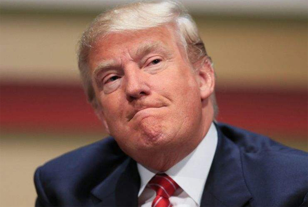 1531114243300315.jpg tp.jpg