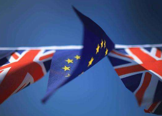 1531287452584622.jpg tp.jpg