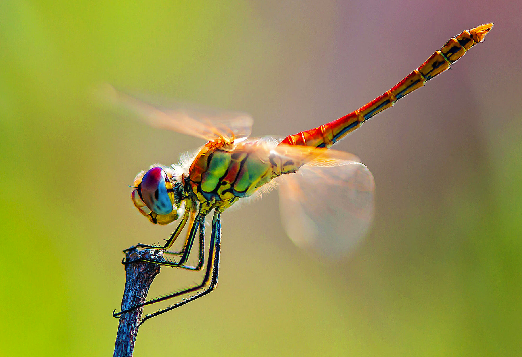 1564490785397185.png 1.png