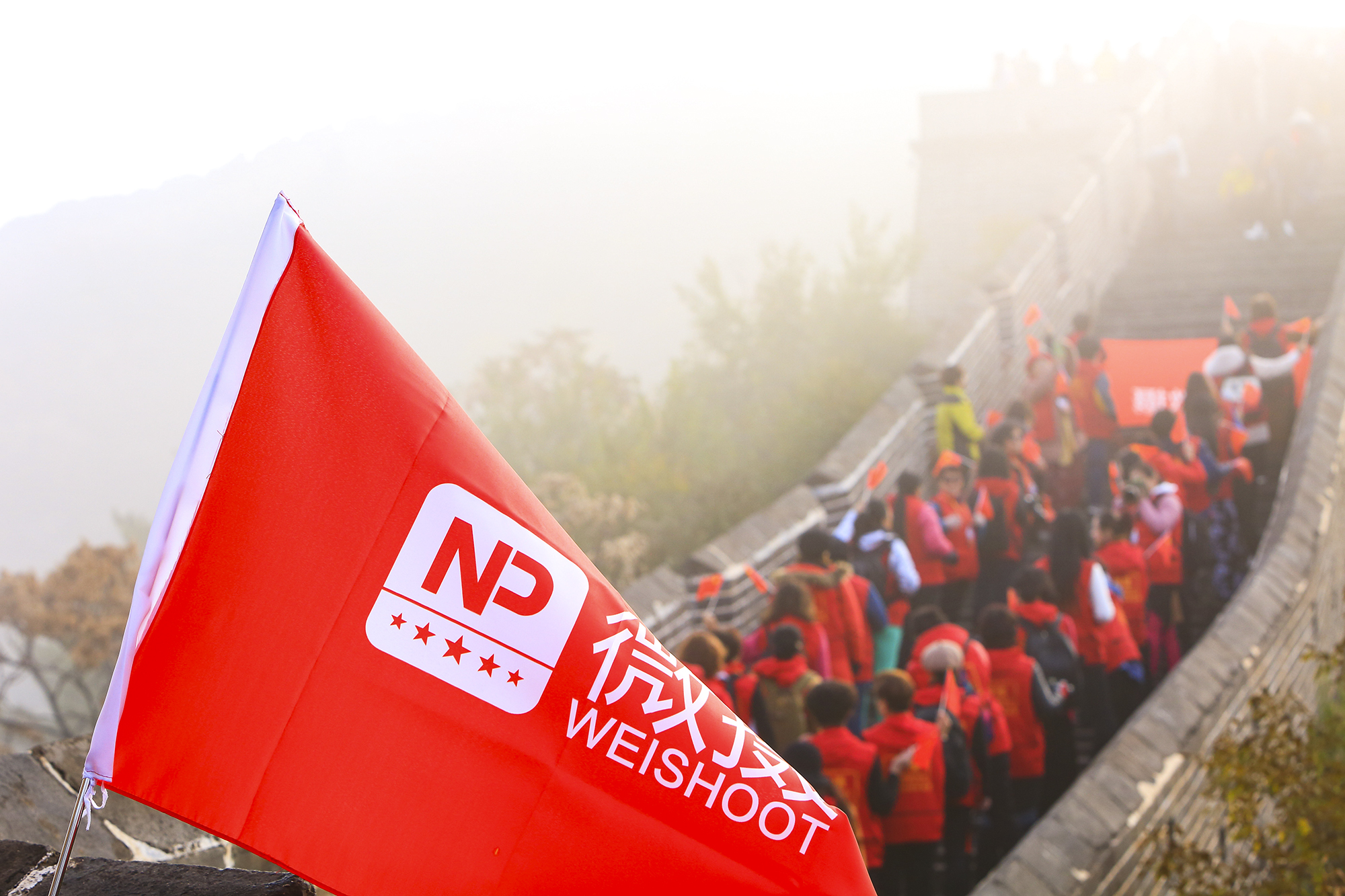 1572351624681987.jpg A-20.jpg