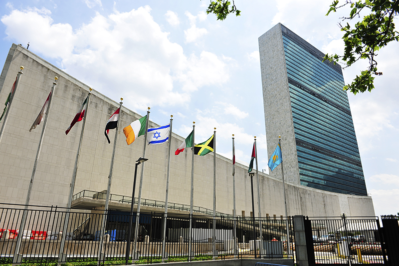 1574387523954848.jpg image_1537919083.745664.jpg