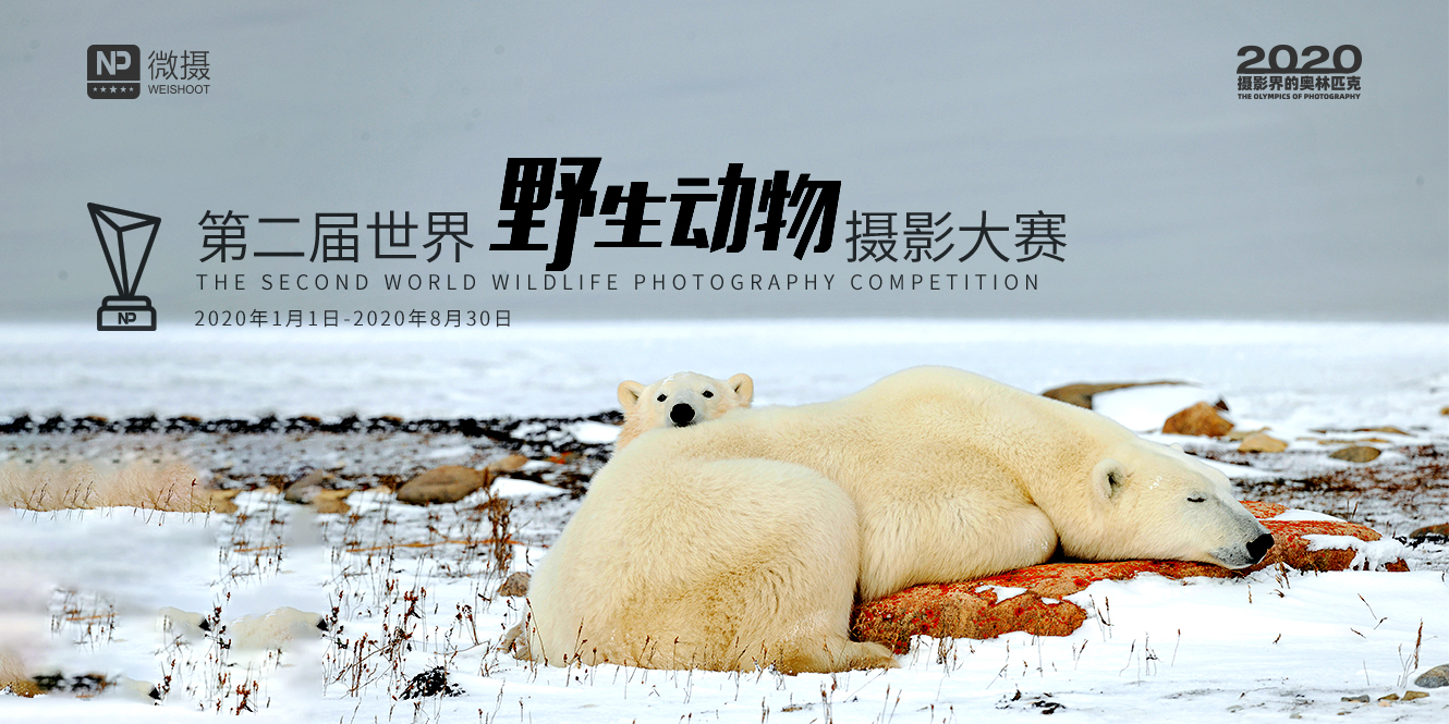 1579153958992997.jpg 微信图片_20200116135210.jpg