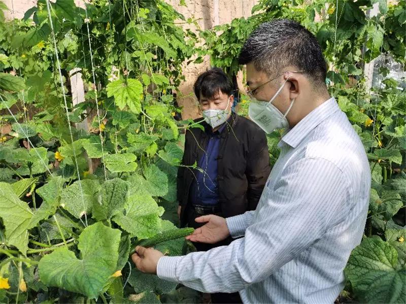 1581664078416485.jpg 1.jpg