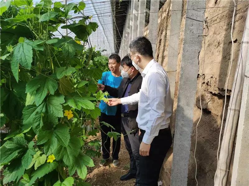 1581664211660045.jpg 微信图片_20200214150958.jpg