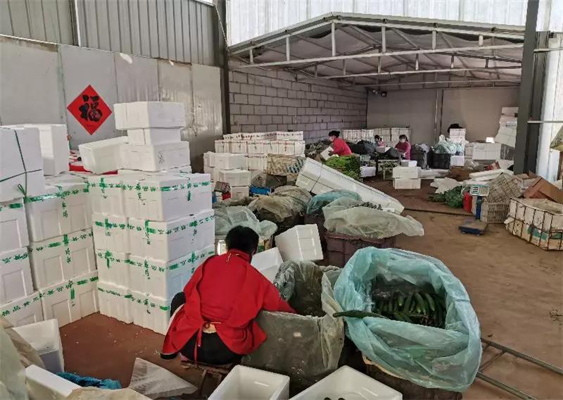 1581664273284058.jpg 003.jpg