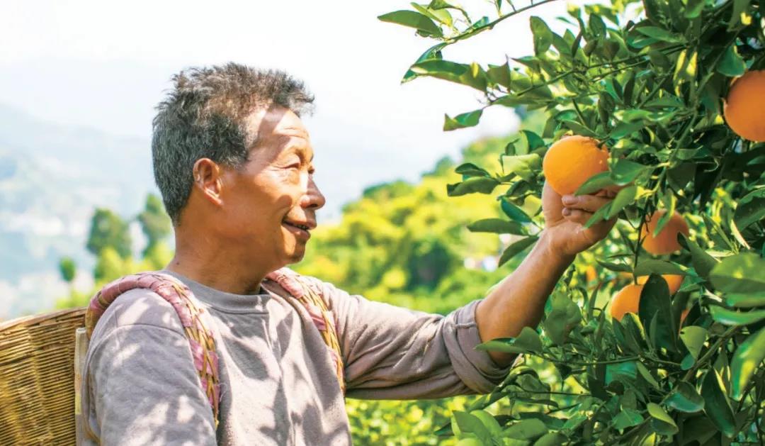 1587630445112677.jpg 1.jpg