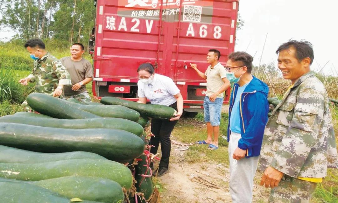 1587630484369836.jpg 5.jpg