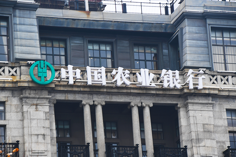 1589250299424186.jpg 2018年1月6日上海1-64.jpg