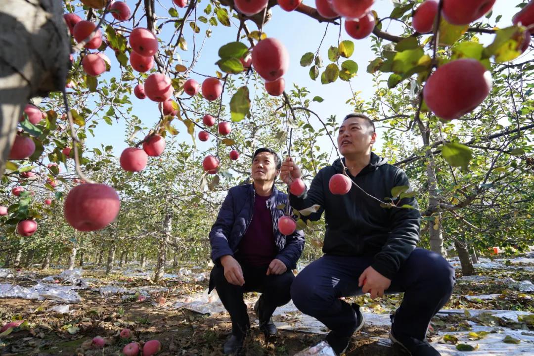 1589507002300843.jpg 1.jpg