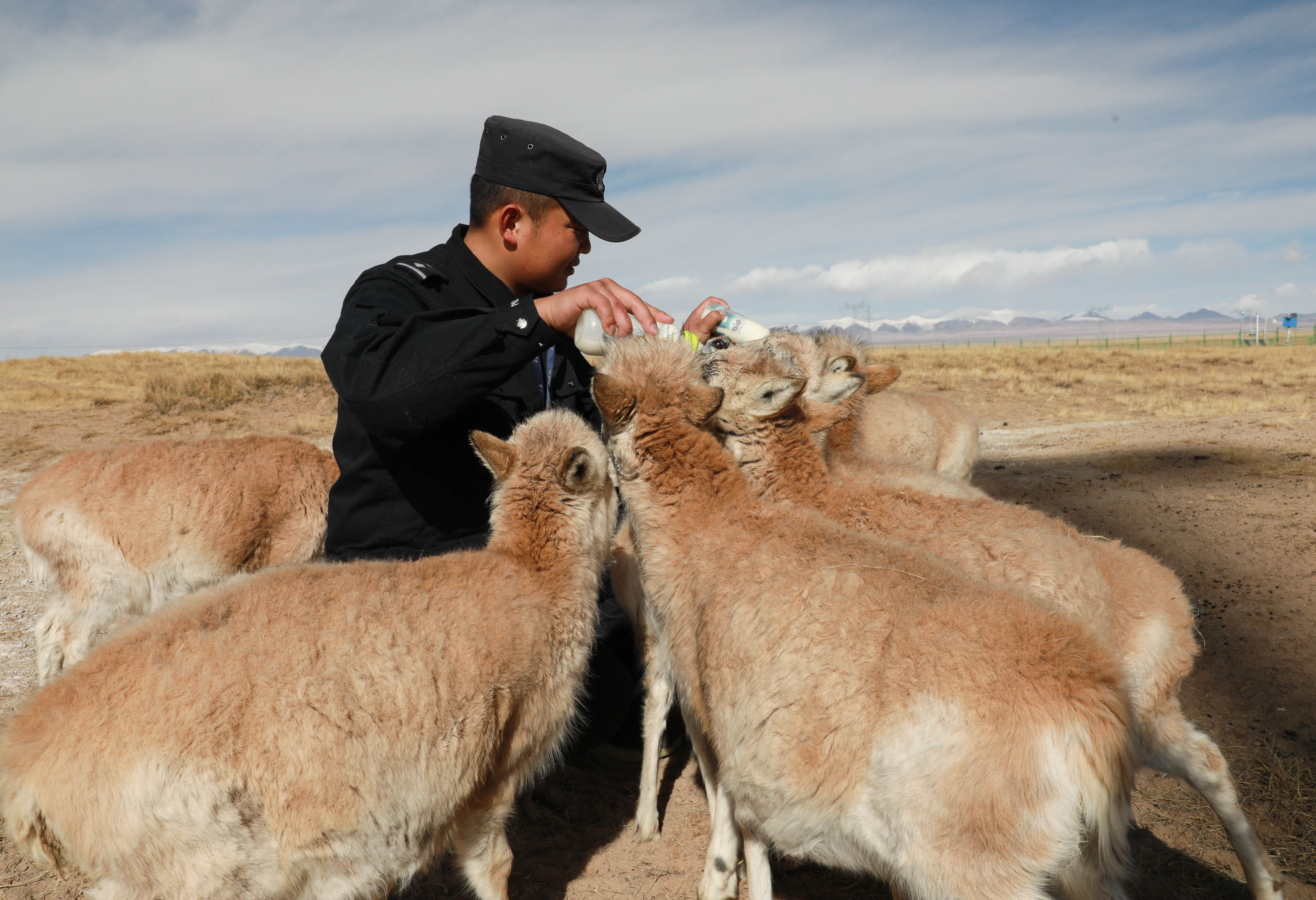 1614214835234980.jpg XxjpsgC007540_20210224_PEPFN0A001.JPG