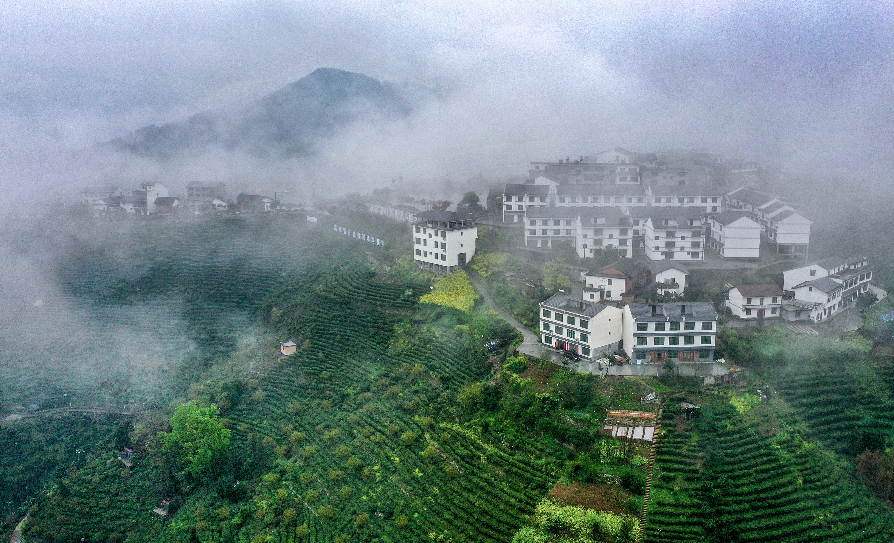 1616979885809806.jpg XxjpsgC007195_20210328_PEPFN0A001.JPG