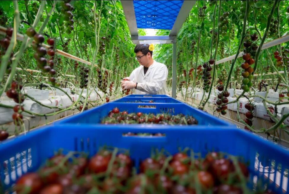 点击看大图 北京农商银行成立乡村振兴部