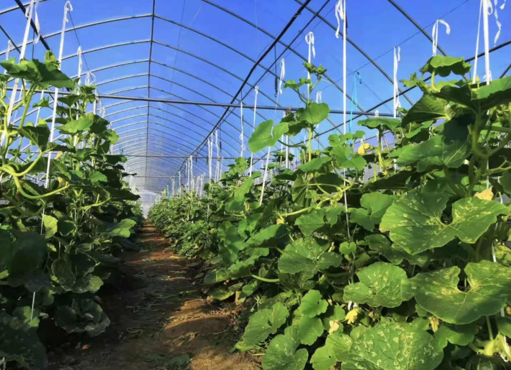 1640161609365322.png 截屏2021-12-22 下午4.18.14.png