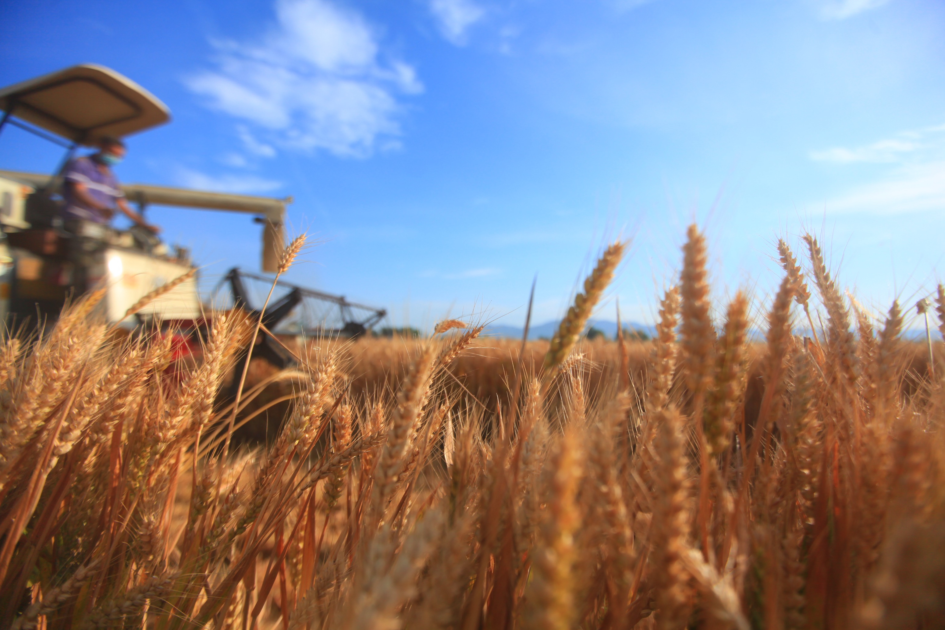 1641902843176959.jpg XxjpsgC007347_20211211_PEPFN0A001.JPG