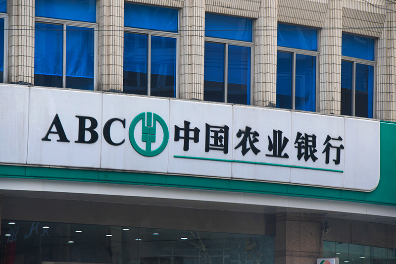 1645587822948435.jpg 2018年1月6日上海1-120.jpg