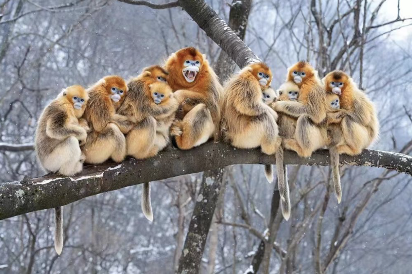 1661002501698352.png 截屏2022-08-20 下午9.22.56.png