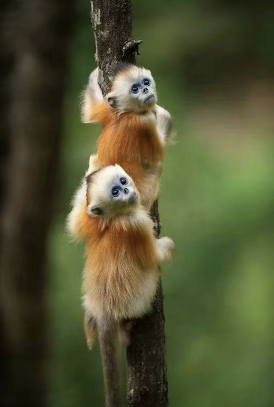 1661002524331677.png 截屏2022-08-20 下午9.23.20.png