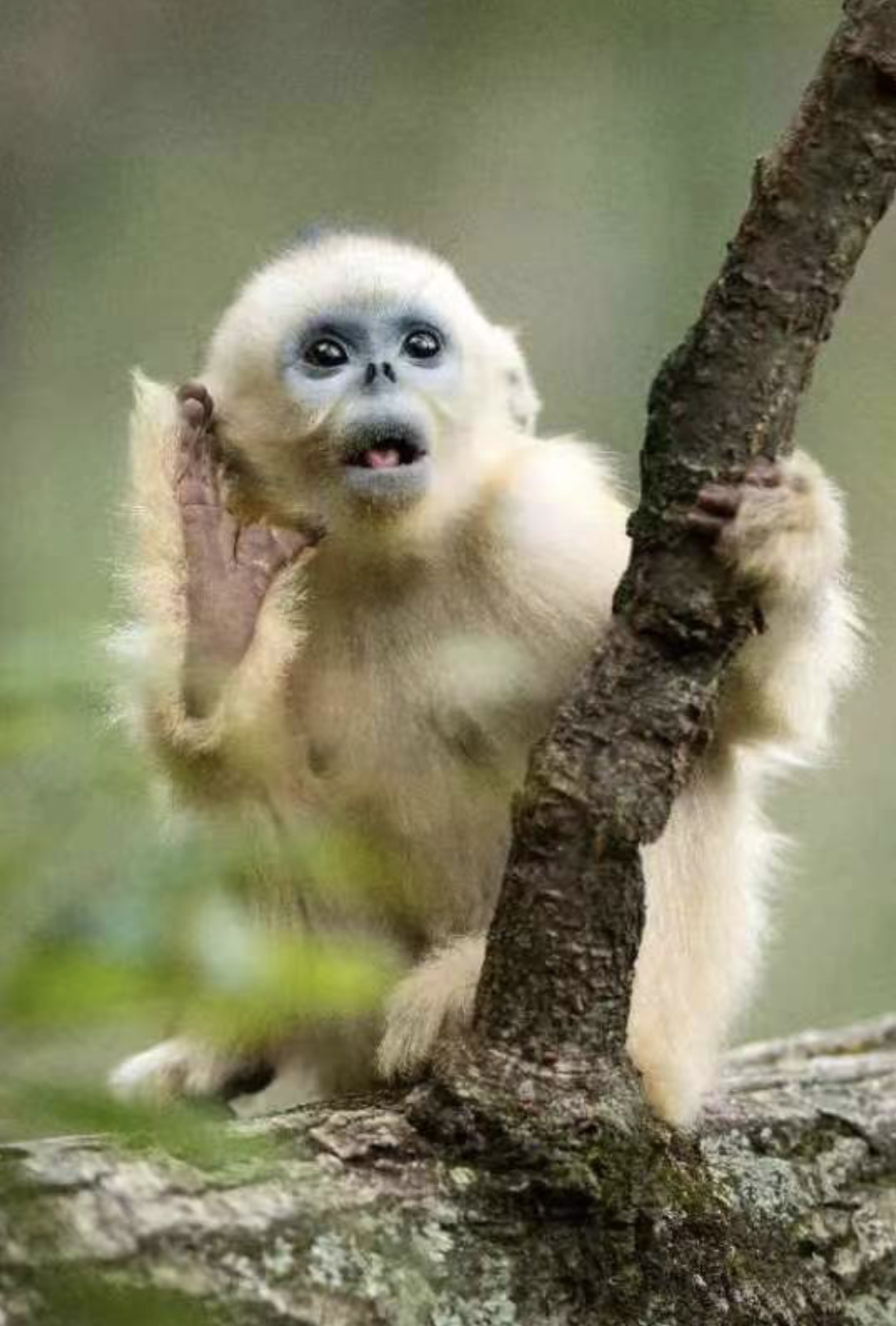 1661002547337343.png 截屏2022-08-20 下午9.23.35.png