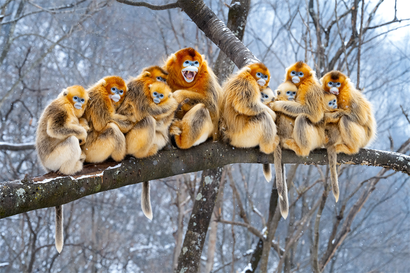 1661923892874628.png 1945b756d440e166185325098134475010.png