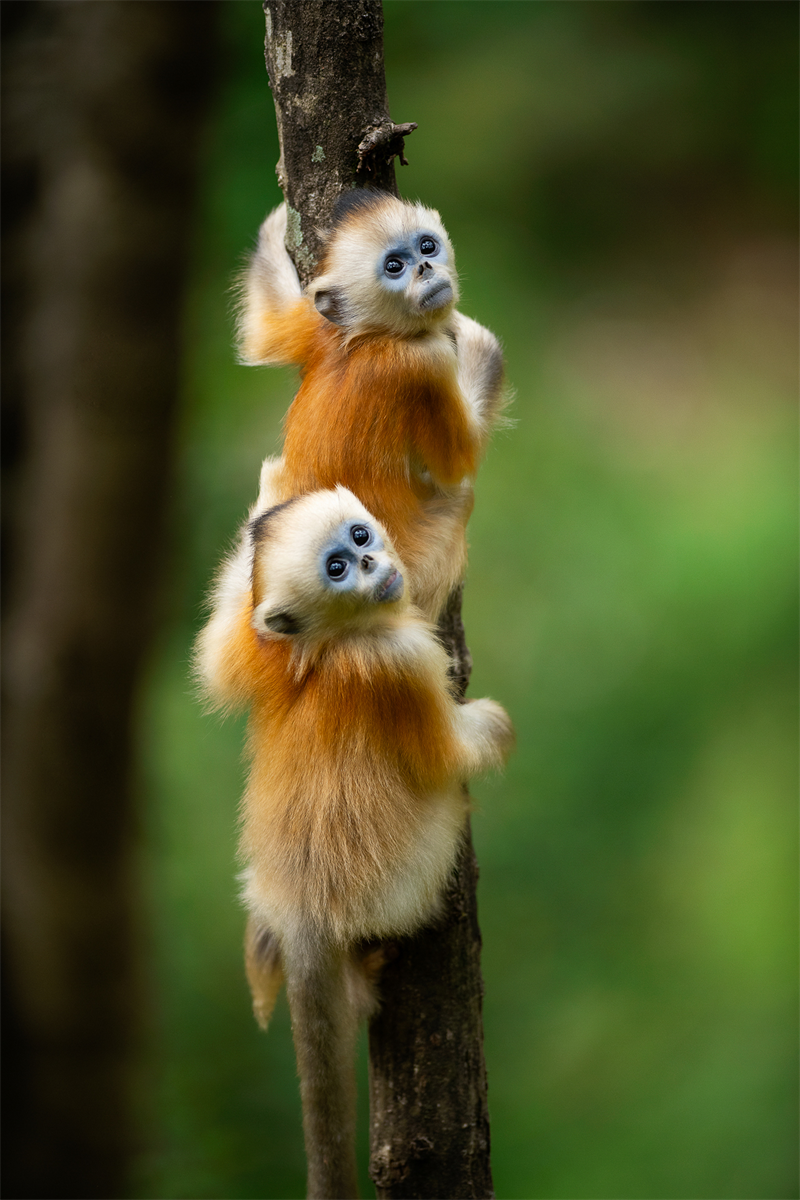 1661923930121063.png 1092d566e070e166185327897852952810.png