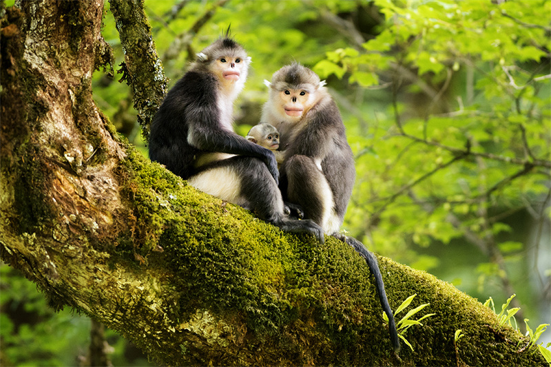 1661923968705074.jpg 718407493e6c4166185330000734068010.jpg