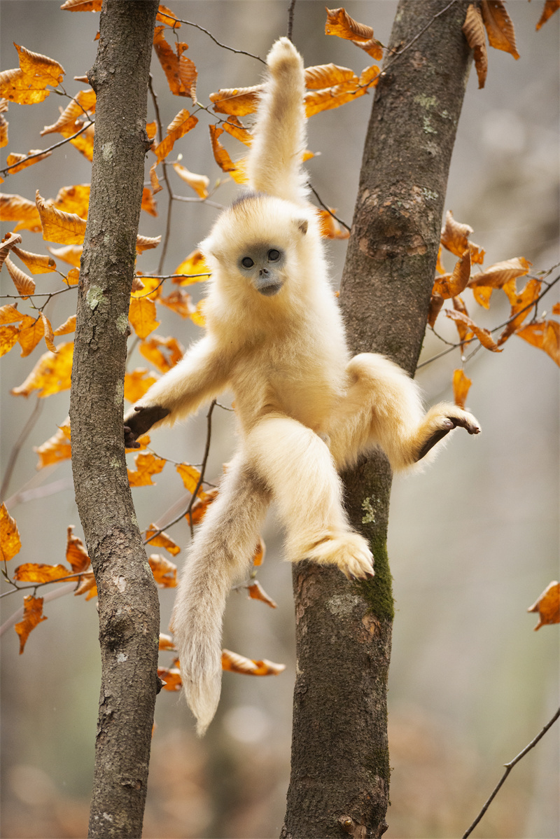 1661924041298821.jpg 0dbb71112b94e166185334894022428910.jpg