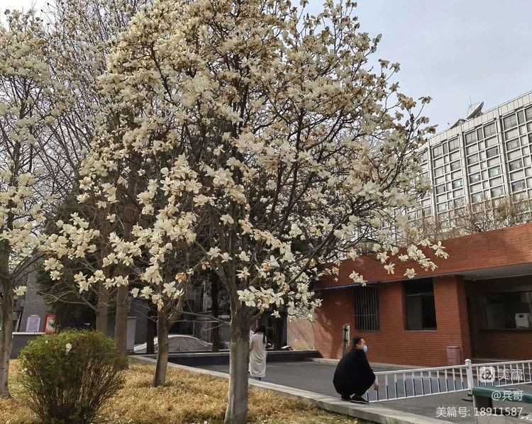 1680315590631588.jpg 4a3e64dd134edd627a983fd0ed8bdac0.jpg