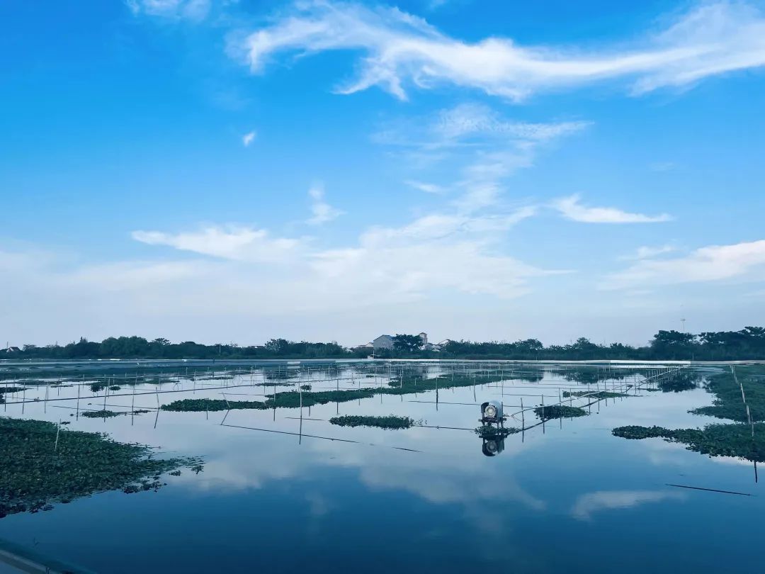 1681352762577518.jpg 2.jpg