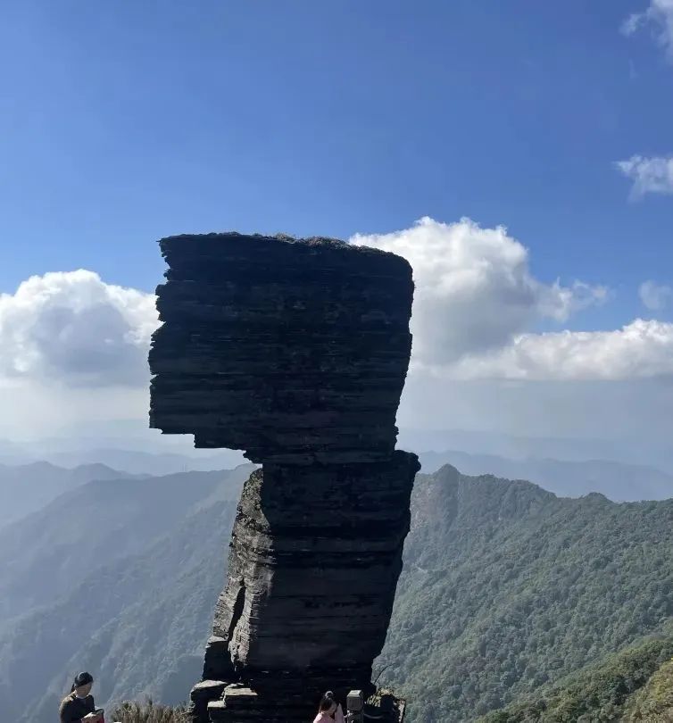 1681352773813109.jpg 3.jpg