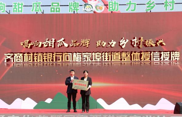 点击看大图 齐商村镇银行: “整村授信”助力乡村产业高质量发展