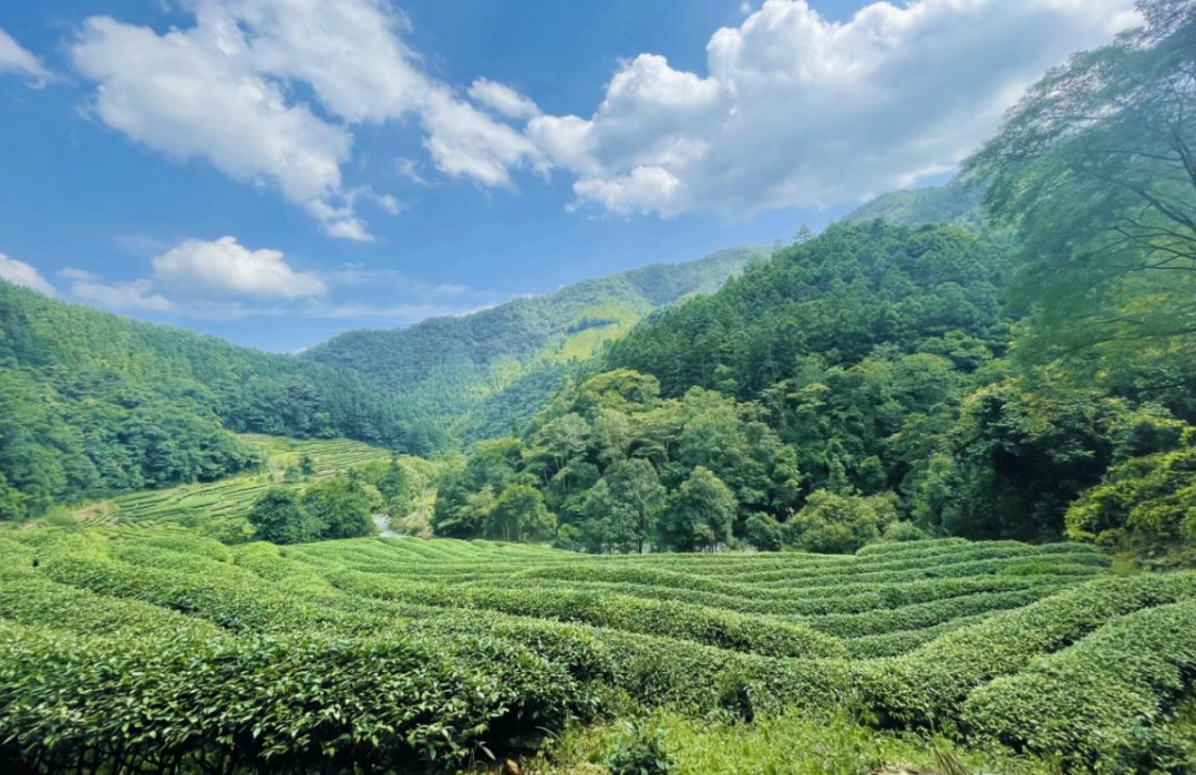 1689233431183151.png 640-1.png