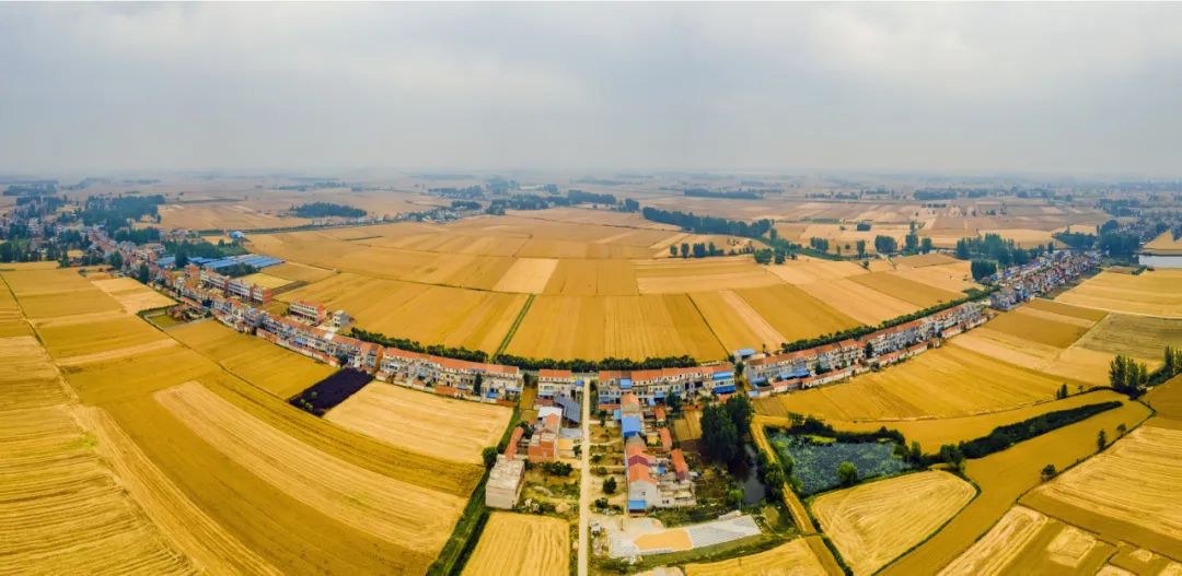 1696822068672570.jpg 640-1.jpg