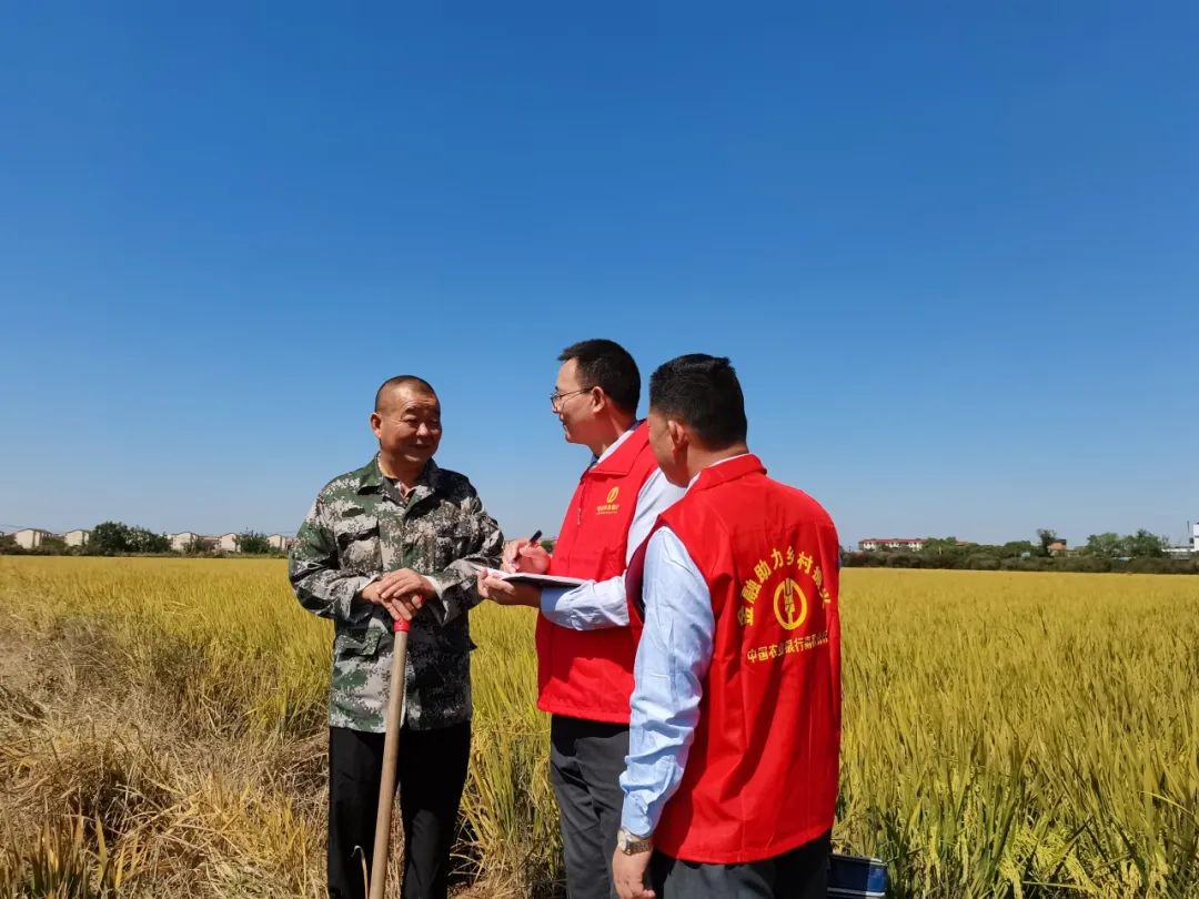 1696822155191819.jpg 640-3.jpg