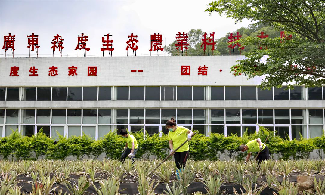 1701854895427784.png 640-2.png