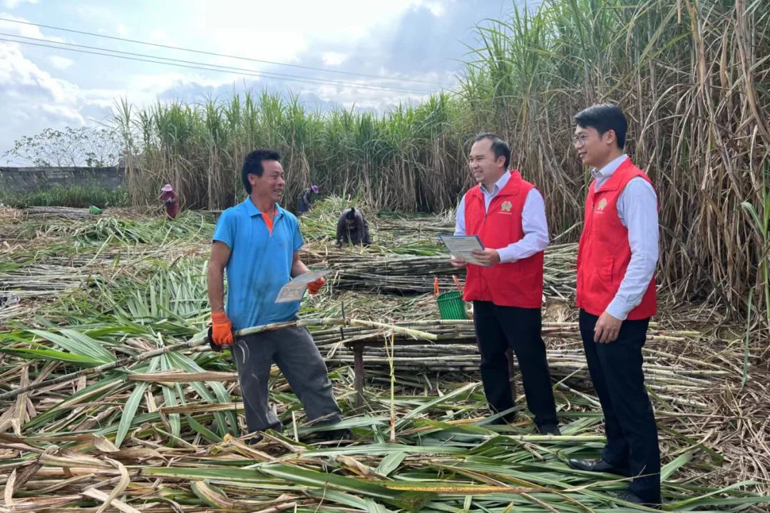 1702899928774925.jpg 640.jpg