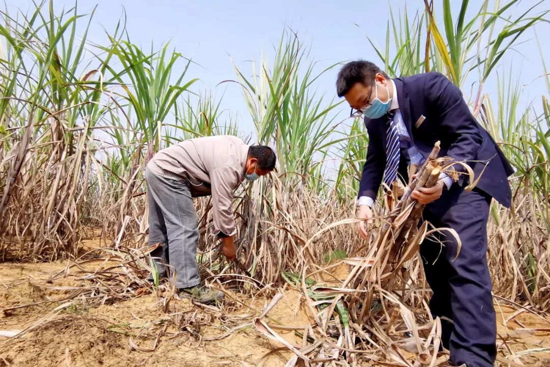 1702899992674644.jpg 640-1.jpg