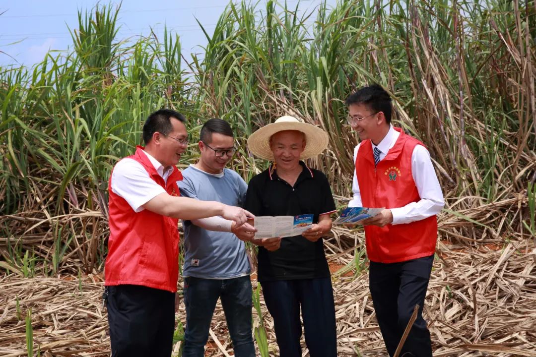 1702900078121157.jpg 640-2.jpg