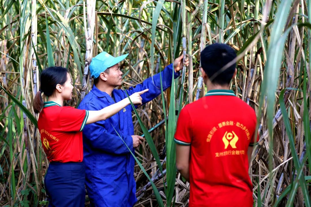 1702900127472033.jpg 640-3.jpg