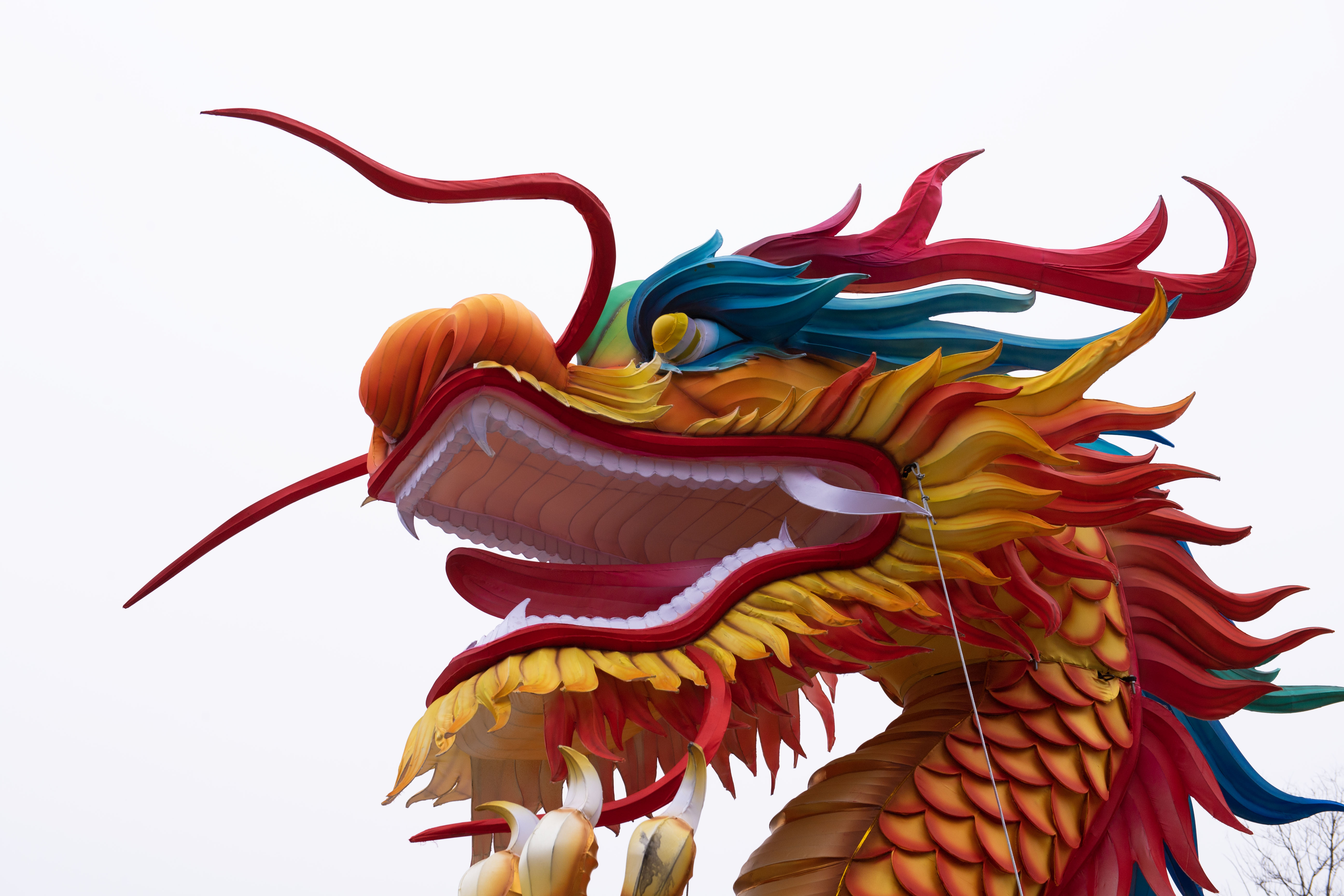 1710108003412448.jpg 2024年2月18日北京西单-3.jpg