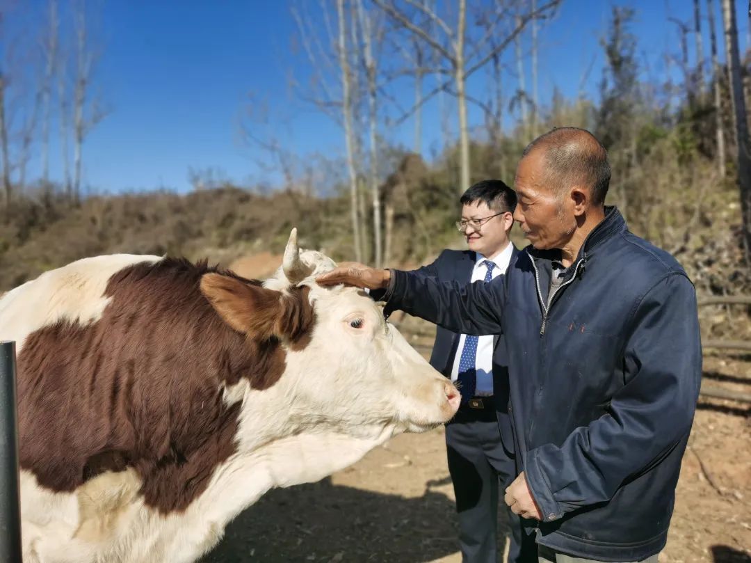 1710905310696814.jpg 640-3.jpg