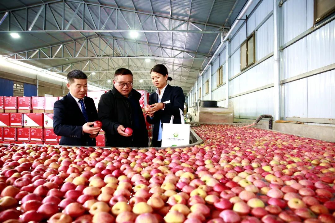 1710905411813189.jpg 640-4.jpg