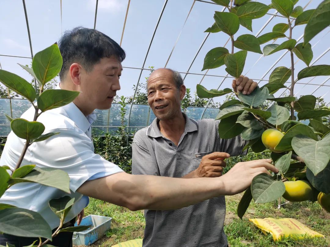 1710905510498168.jpg 640-5.jpg