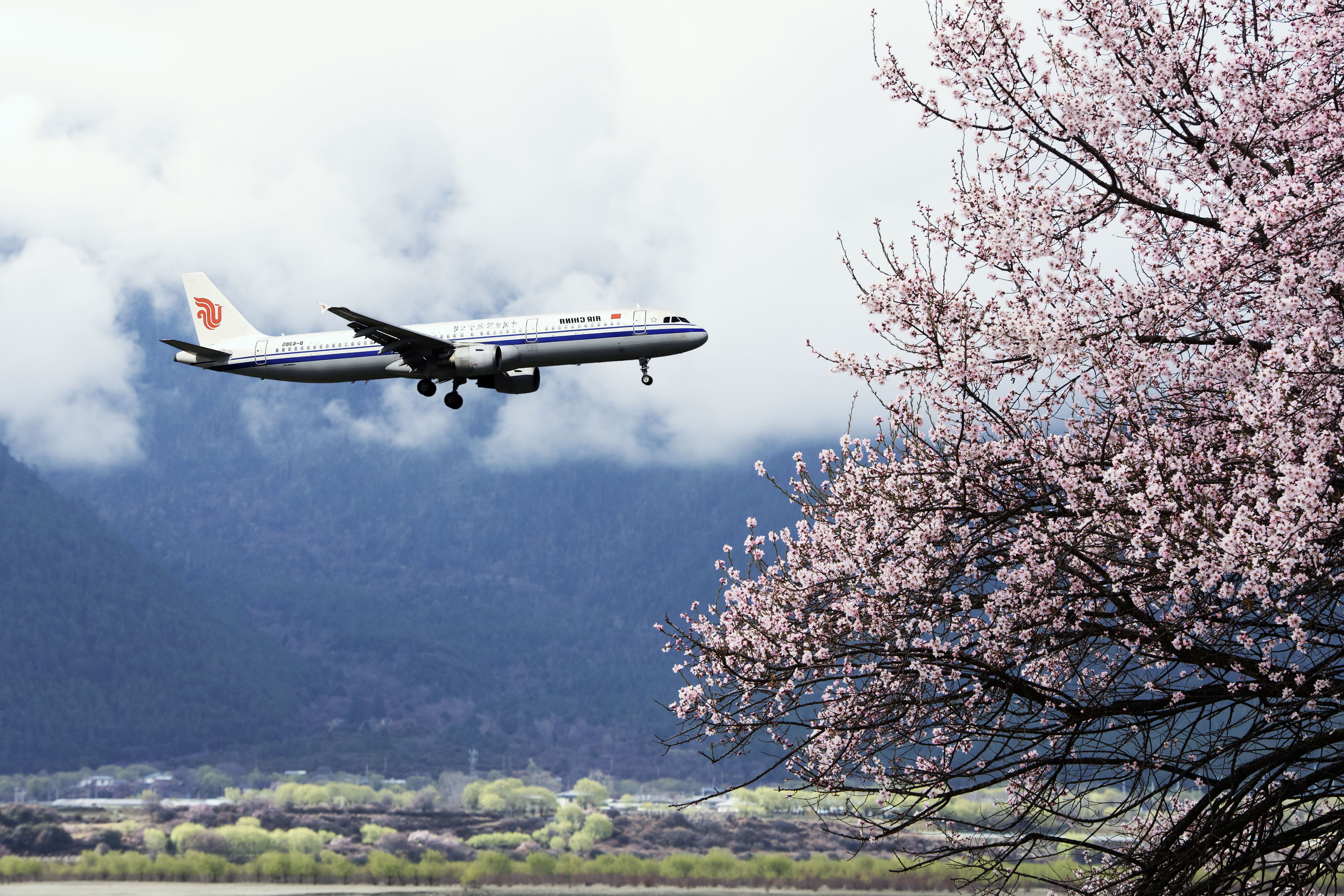 1711984265322455.jpg 2024年3月30日西藏林芝米林市-1.jpg