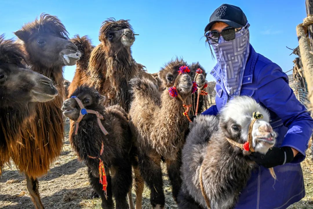 1727359669821835.jpg 11.jpg