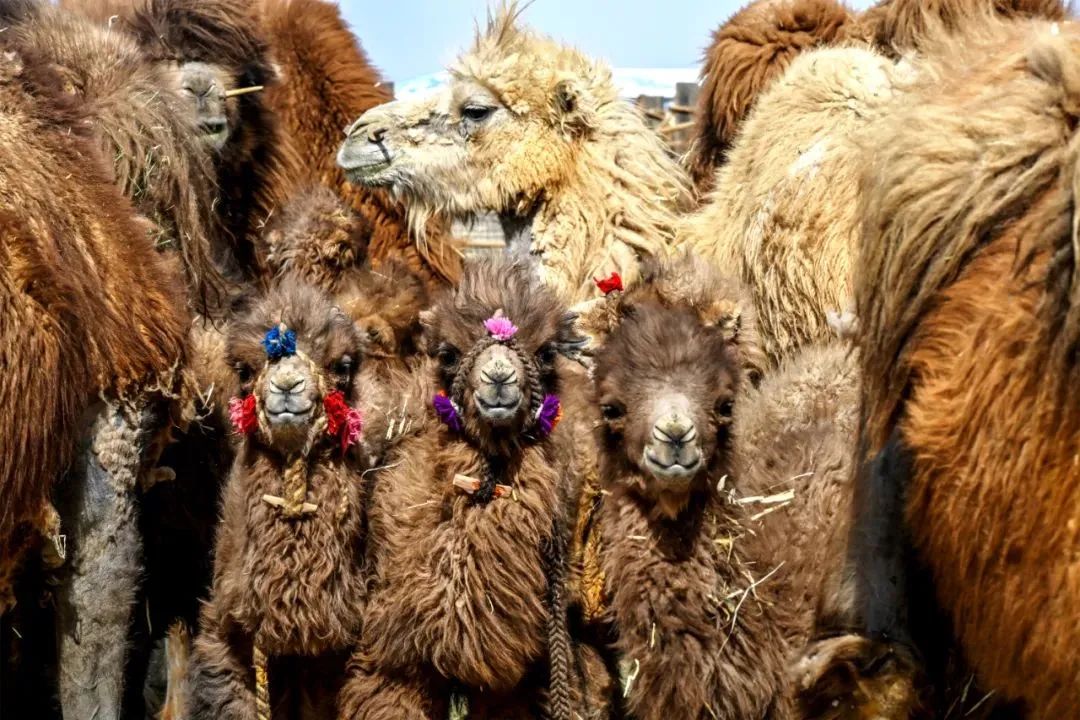 1727359700133423.jpg 12.jpg