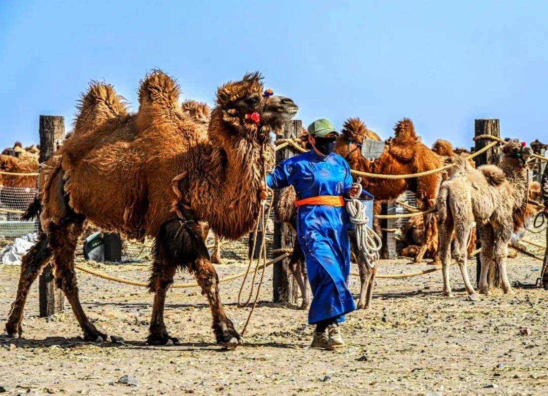 1727359801635114.jpg 16.jpg