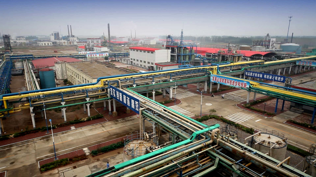 1728874343945303.png 640.png