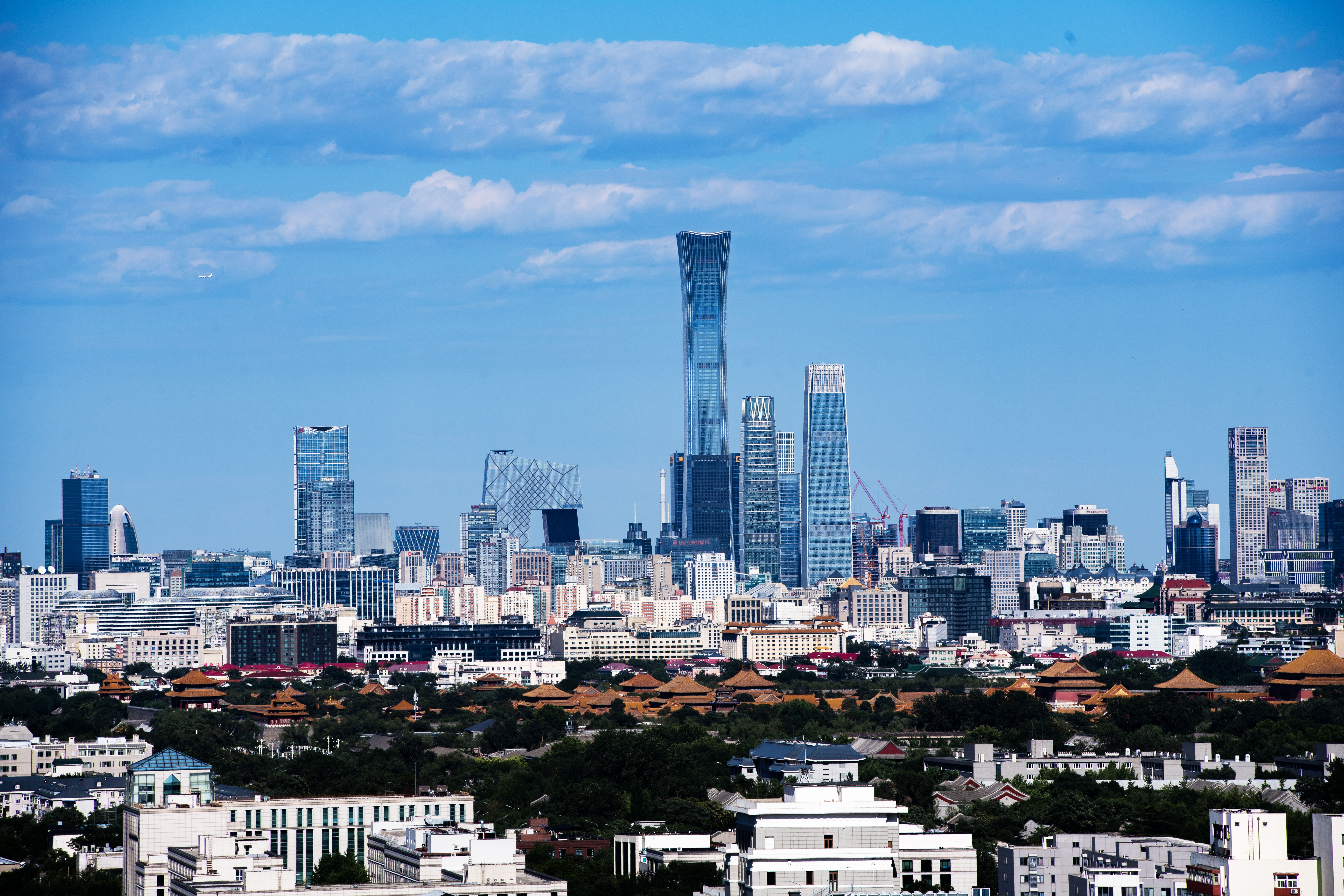 1731105445551382.jpg 3.jpg