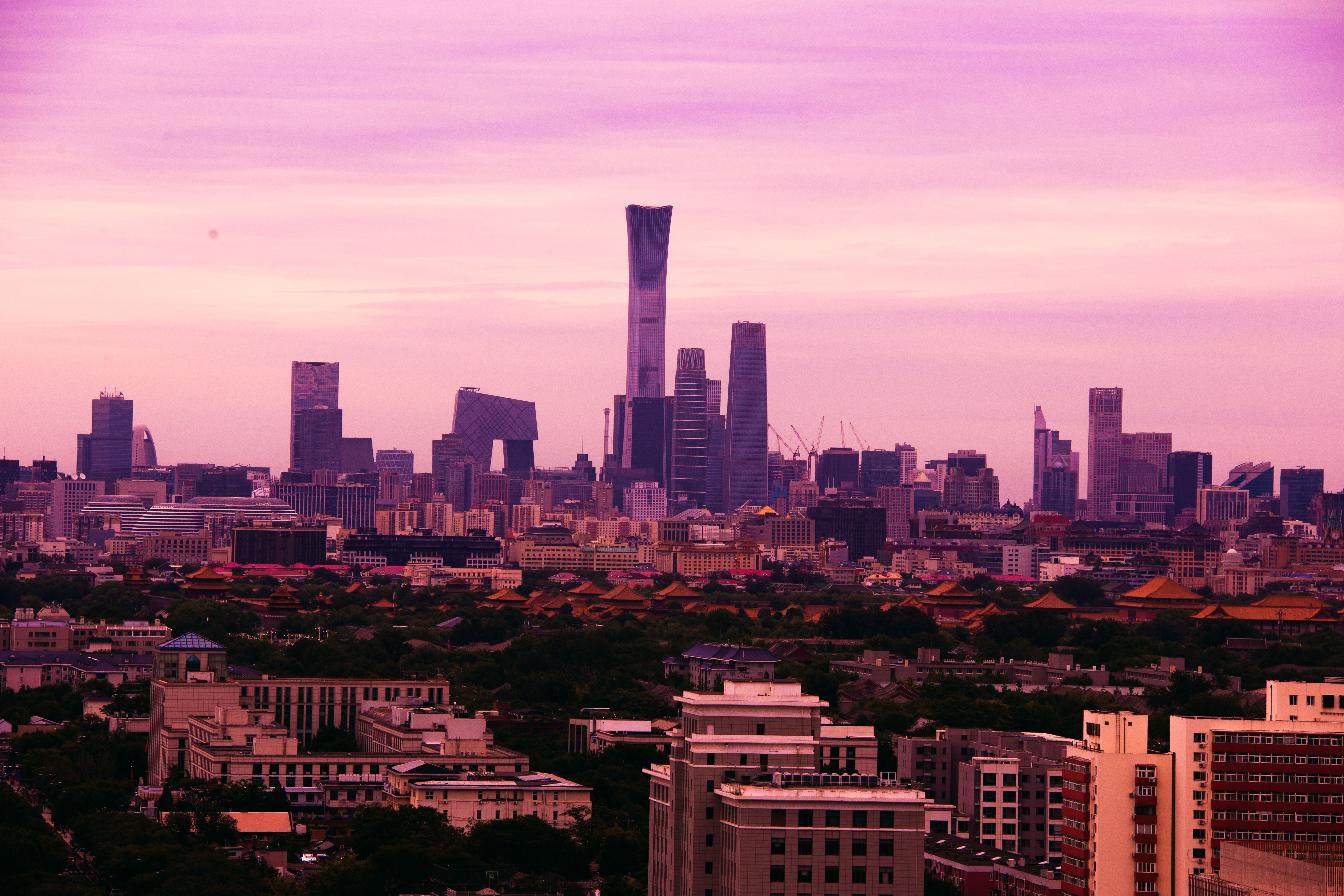 1737370546950410.jpg 2024年9月10日14-10分拍摄-2.jpg