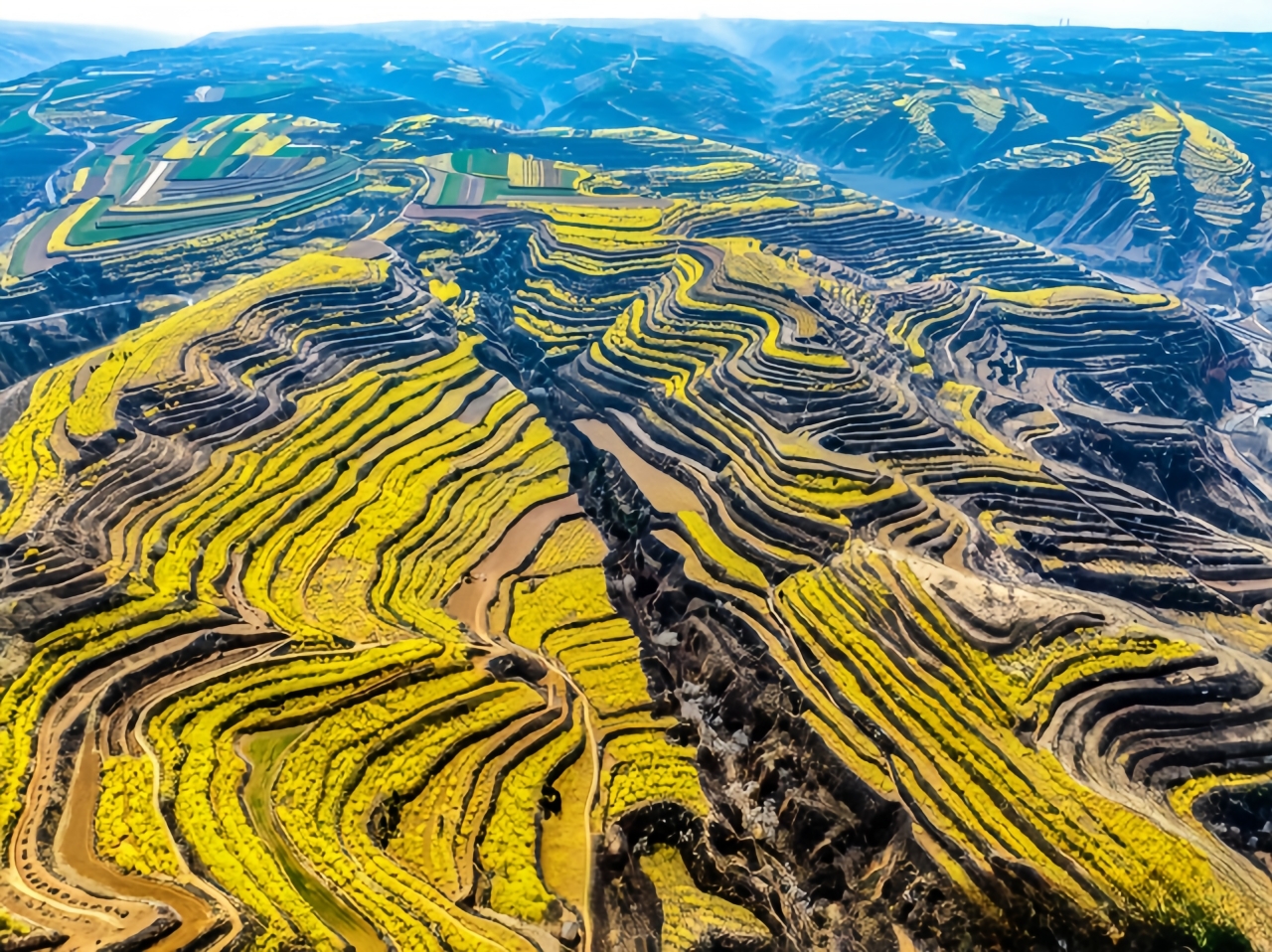 1745463746318412.jpg WechatIMG1341.jpg